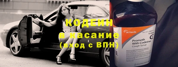 крисы Белокуриха