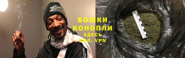 крисы Белокуриха