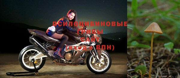 2c-b Сосновка