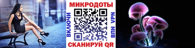 Галлюциногенные грибы прущие грибы  как найти   MEGA ссылка  Наволоки 